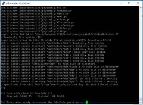rpi clone errors on boot